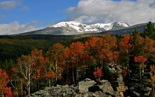 Der Santa Fee Baldy - höchster Berg im Santa Fe County